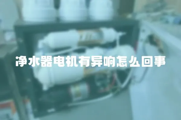 凈水器電機有異響怎么回事