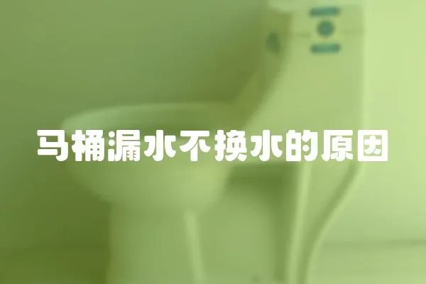 馬桶漏水不換水的原因