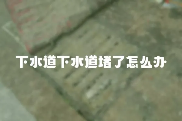 下水道下水道堵了怎么辦