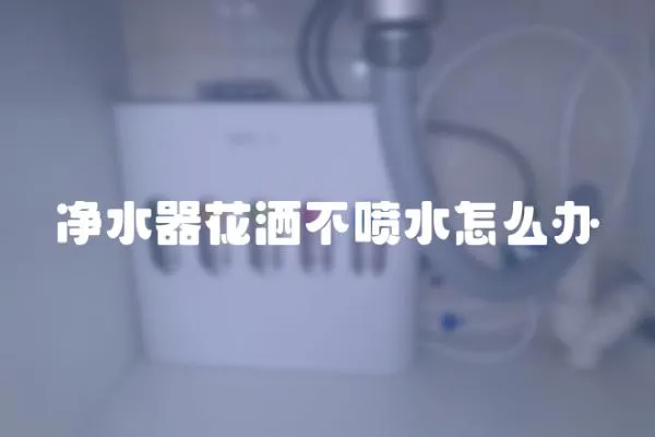 凈水器花灑不噴水怎么辦