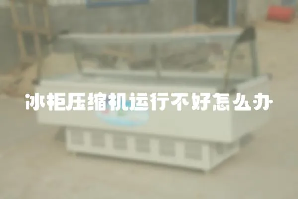 冰柜壓縮機(jī)運(yùn)行不好怎么辦