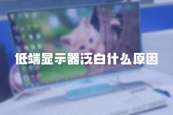 低端顯示器泛白什么原因