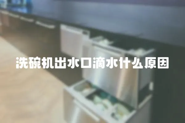 洗碗機(jī)出水口滴水什么原因