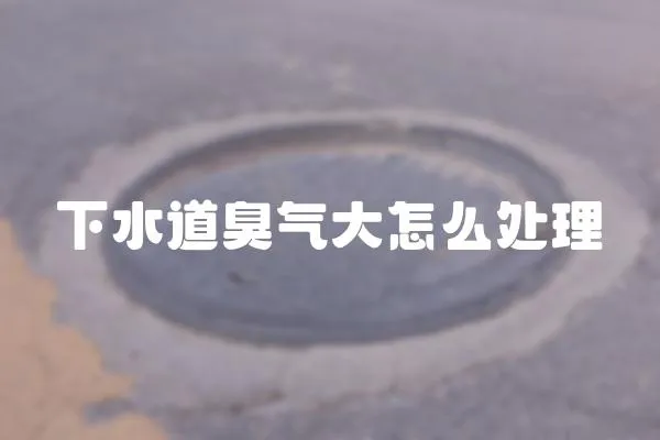 下水道臭氣大怎么處理