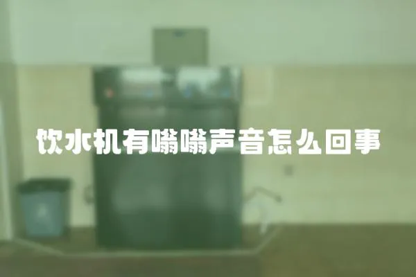 飲水機有嗡嗡聲音怎么回事
