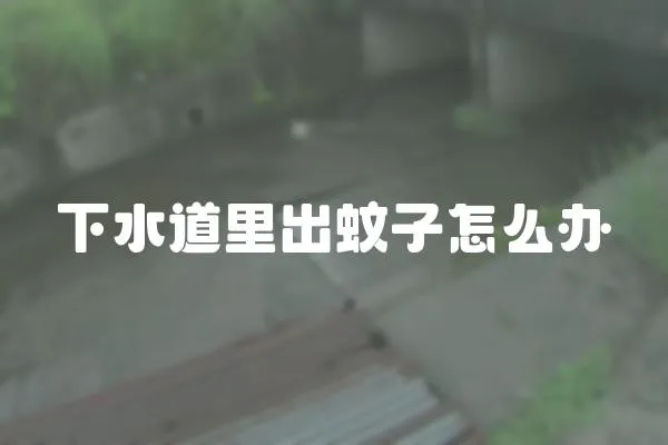 下水道里出蚊子怎么辦
