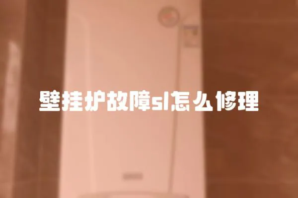 壁掛爐故障sl怎么修理