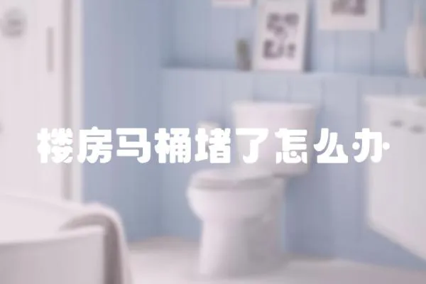 樓房馬桶堵了怎么辦