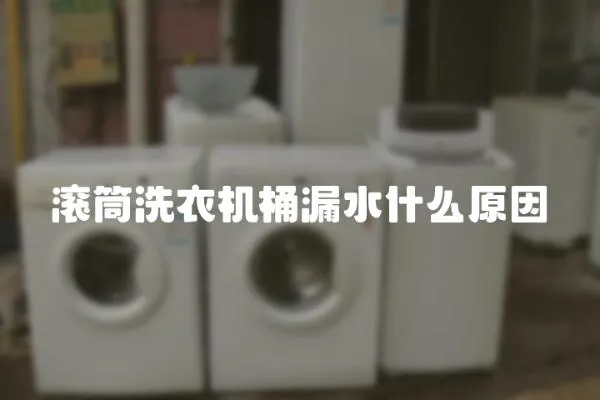 滾筒洗衣機(jī)桶漏水什么原因