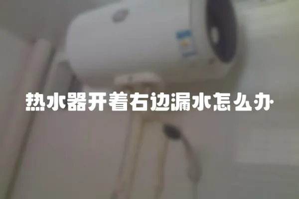 熱水器開著右邊漏水怎么辦