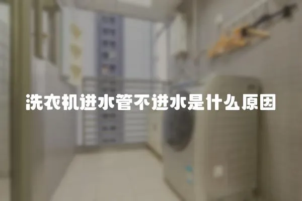 洗衣機(jī)進(jìn)水管不進(jìn)水是什么原因