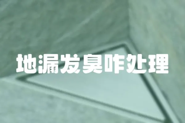 地漏發臭咋處理