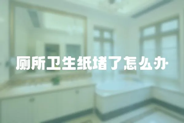 廁所衛(wèi)生紙堵了怎么辦