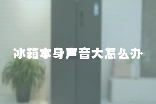 冰箱本身聲音大怎么辦