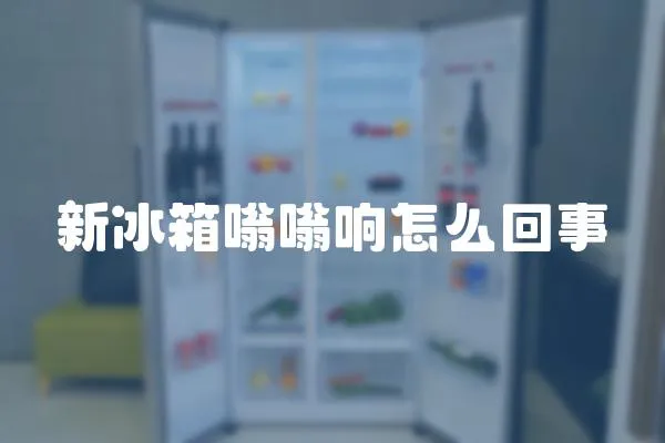 新冰箱嗡嗡響怎么回事