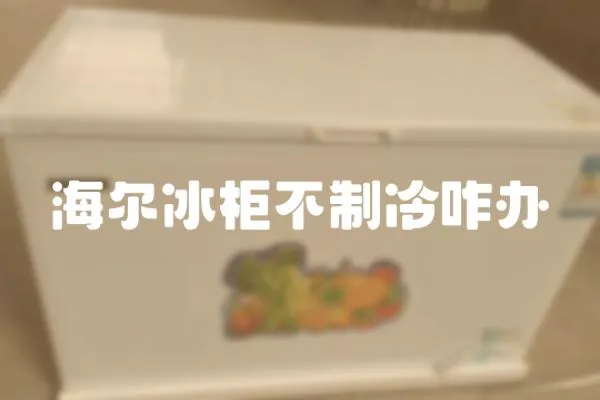 海爾冰柜不制冷咋辦