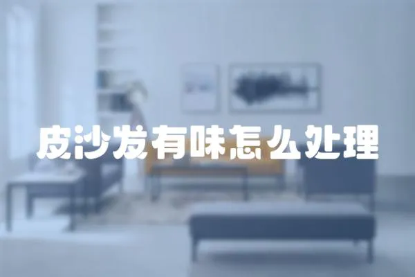 皮沙發有味怎么處理