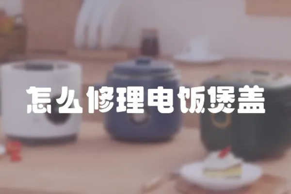 怎么修理電飯煲蓋