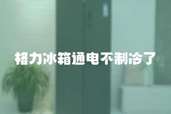 格力冰箱通電不制冷了