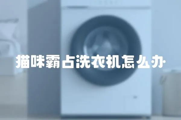 貓咪霸占洗衣機怎么辦