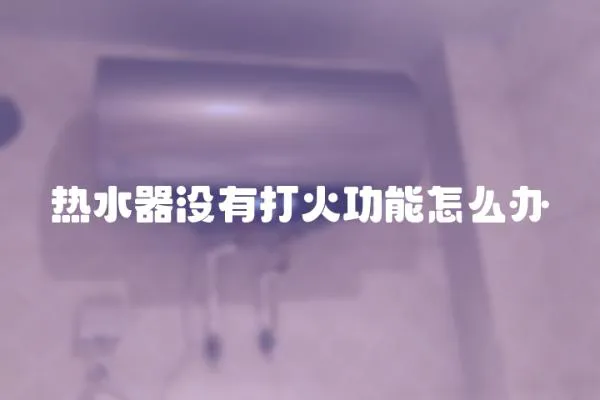 熱水器沒有打火功能怎么辦