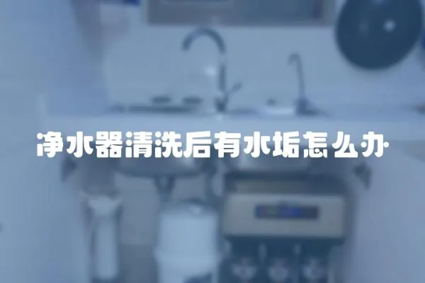 凈水器清洗后有水垢怎么辦