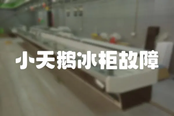 小天鵝冰柜故障