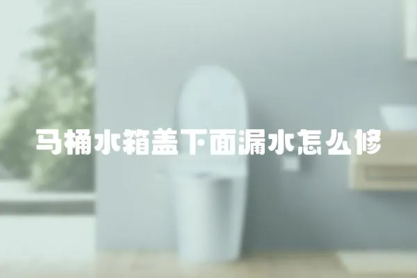馬桶水箱蓋下面漏水怎么修