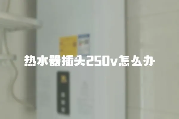 熱水器插頭250v怎么辦