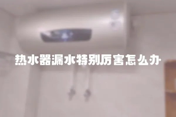 熱水器漏水特別厲害怎么辦
