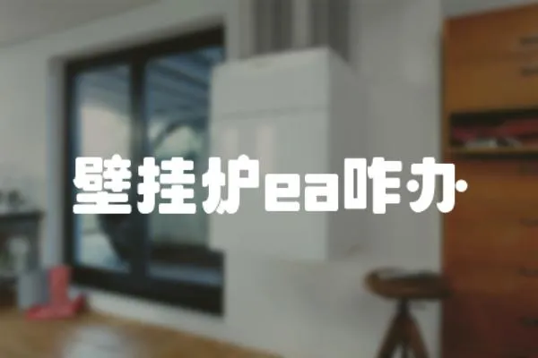 壁掛爐ea咋辦