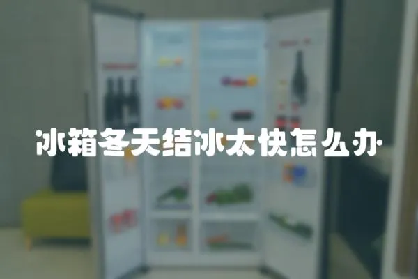 冰箱冬天結冰太快怎么辦