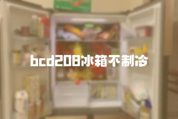 bcd208冰箱不制冷