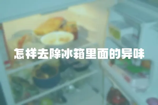 怎樣去除冰箱里面的異味
