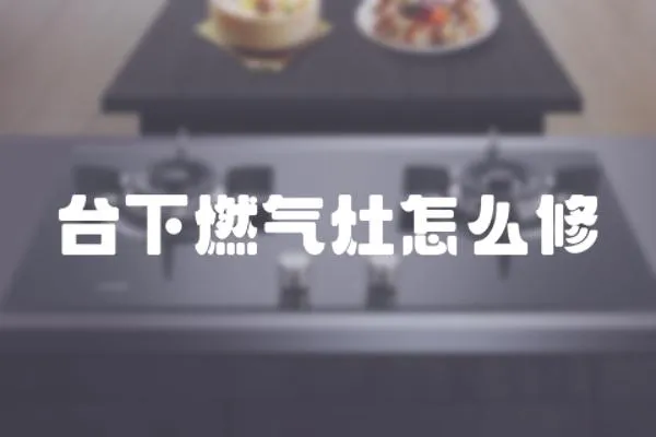 臺下燃氣灶怎么修