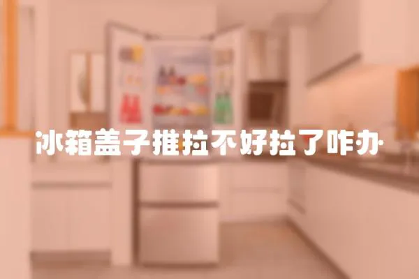 冰箱蓋子推拉不好拉了咋辦