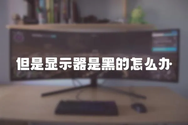 但是顯示器是黑的怎么辦