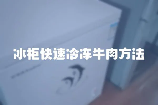 冰柜快速冷凍牛肉方法