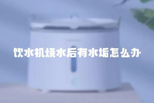 飲水機(jī)燒水后有水垢怎么辦