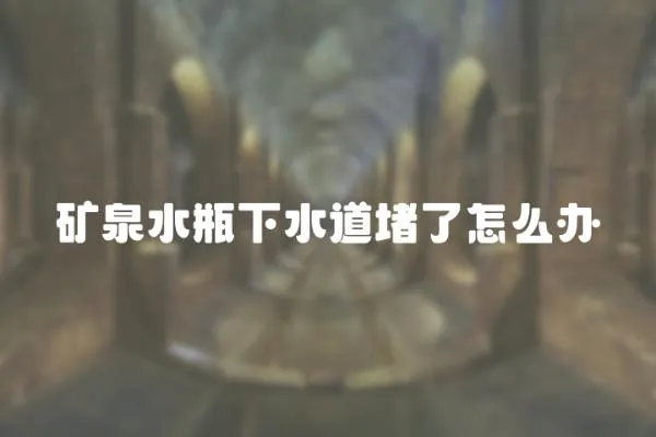 礦泉水瓶下水道堵了怎么辦