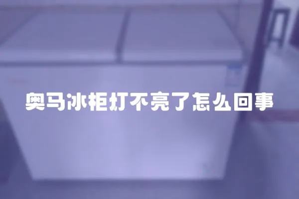 奧馬冰柜燈不亮了怎么回事