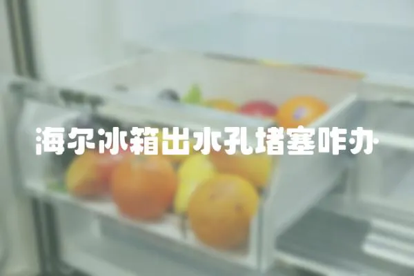 海爾冰箱出水孔堵塞咋辦