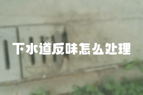 下水道反味怎么處理