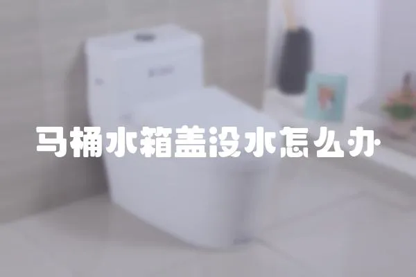 马桶水箱盖没水怎么办