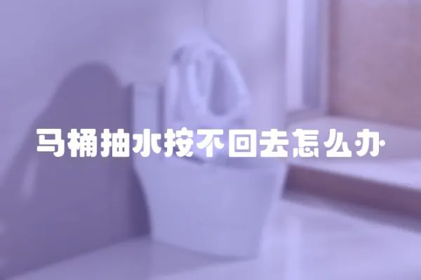 馬桶抽水按不回去怎么辦