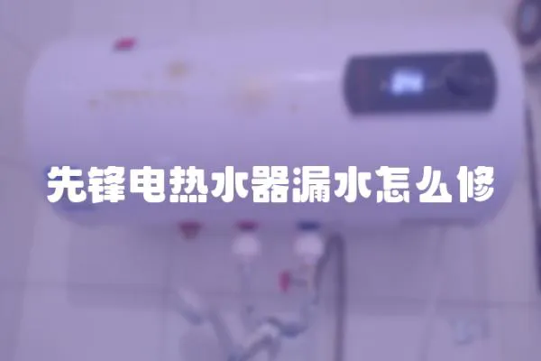先鋒電熱水器漏水怎么修