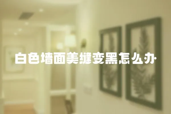 白色墻面美縫變黑怎么辦