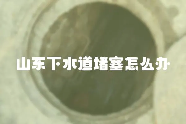 山東下水道堵塞怎么辦