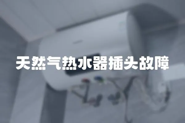 天然氣熱水器插頭故障