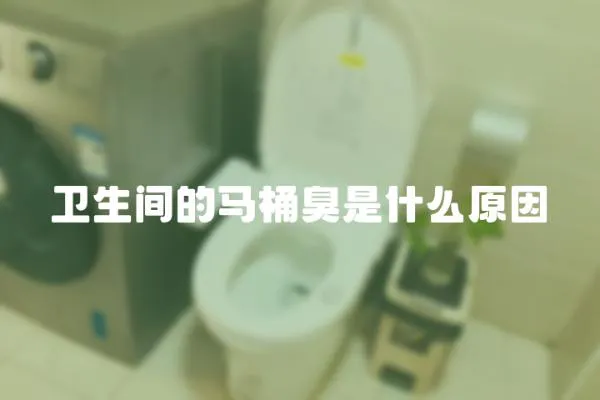 衛生間的馬桶臭是什么原因